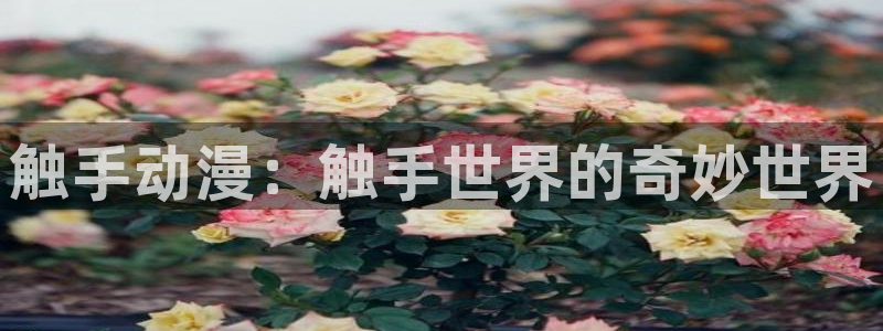 歪歪漫画在线看漫画入口：触手动漫：触手世界的奇妙世界