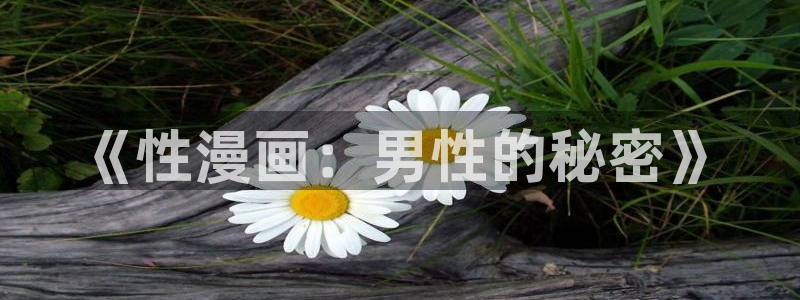 歪歪漫画yyy